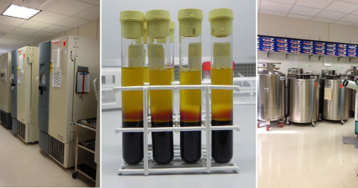 Lab interior with tubes and tools